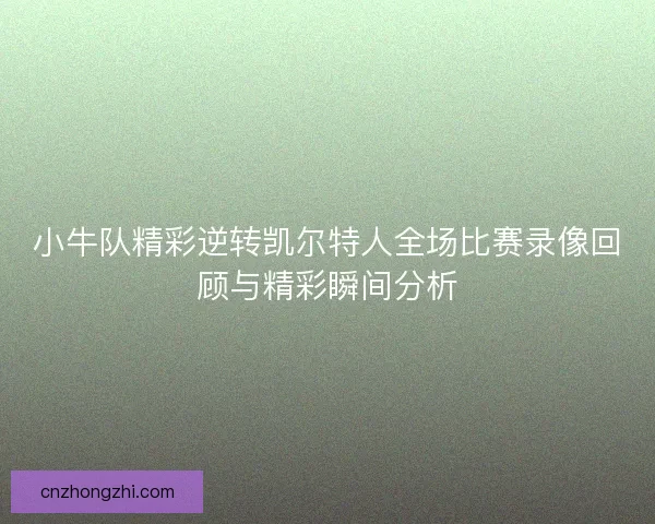 小牛队精彩逆转凯尔特人全场比赛录像回顾与精彩瞬间分析