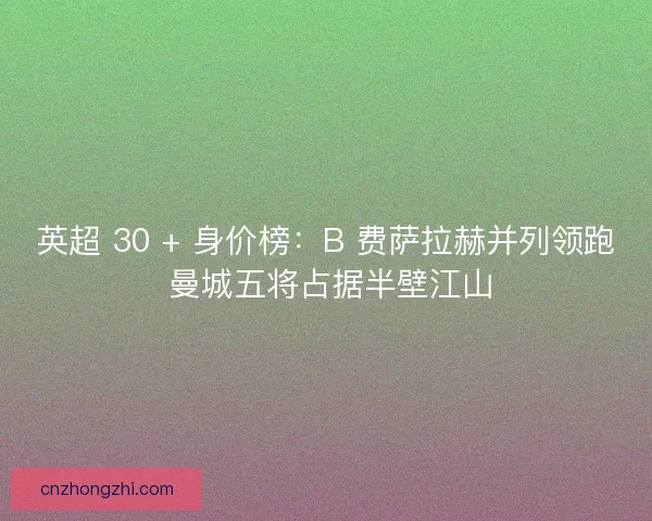 英超 30 + 身价榜：B 费萨拉赫并列领跑 曼城五将占据半壁江山
