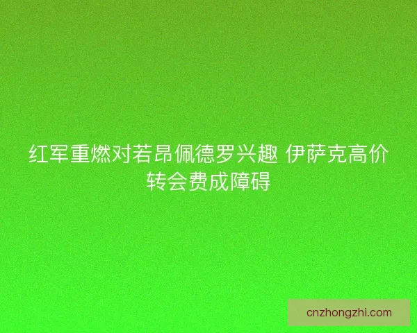 红军重燃对若昂佩德罗兴趣 伊萨克高价转会费成障碍