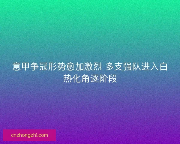 意甲争冠形势愈加激烈 多支强队进入白热化角逐阶段 意甲争冠形势愈加激烈 多支强队进入白热化角逐阶段