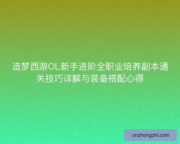 造梦西游OL新手进阶全职业培养副本通关技巧详解与装备搭配心得