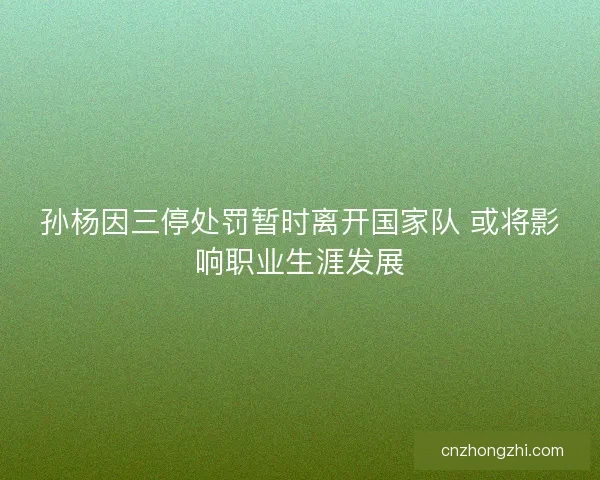 孙杨因三停处罚暂时离开国家队 或将影响职业生涯发展