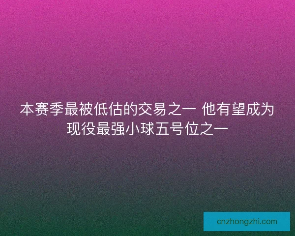 本赛季最被低估的交易之一 他有望成为现役最强小球五号位之一